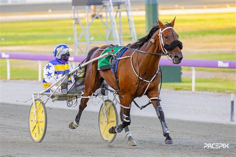 harness racing odds|Miki Jet Ready to Shine, First.